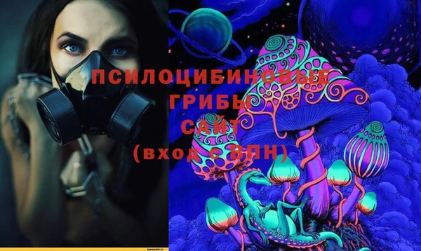 не бодяженный Осташков