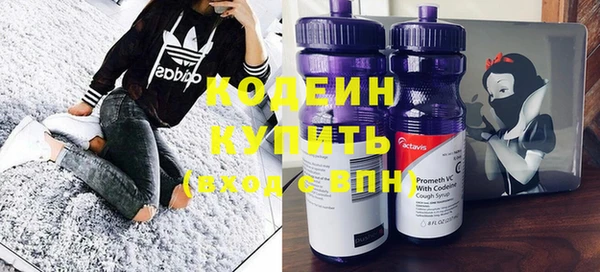 не бодяженный Осташков