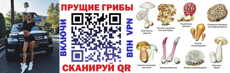 Псилоцибиновые грибы MAGIC MUSHROOMS  купить наркотик  Шахты 