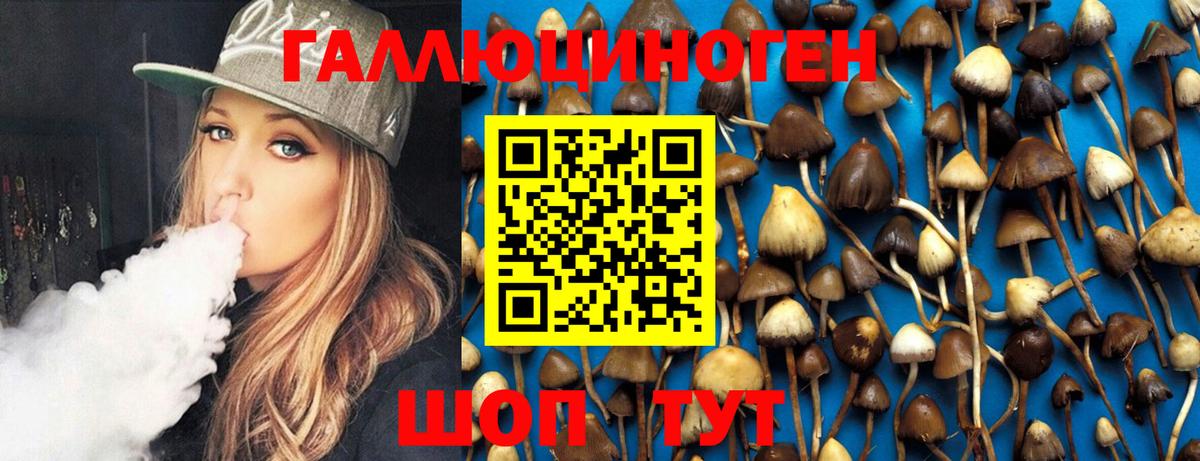 Псилоцибиновые грибы MAGIC MUSHROOMS  Шахты 