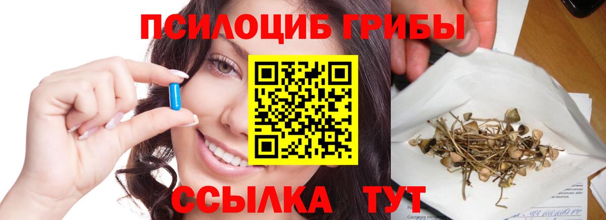 Шахты  Галлюциногенные грибы мицелий  Вход с VPN 